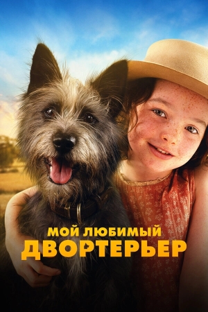 Мой любимый двортерьер смотреть онлайн